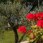 Perla Del Salento 农家乐