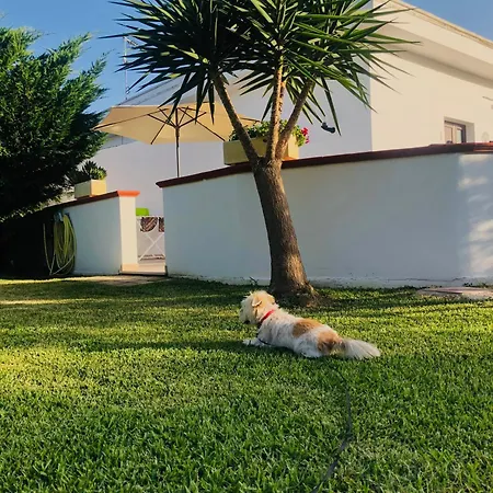 Çiftlik konaklama Perla Del Salento Otranto